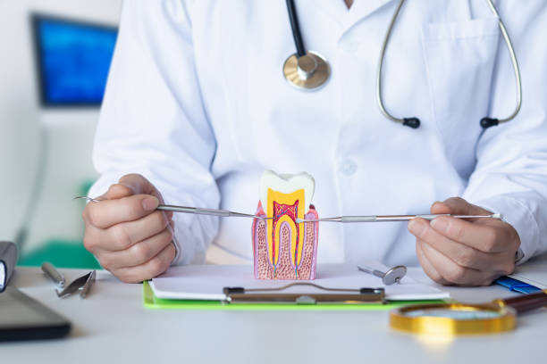Best Emergency Treatment for Oral Infections in Camden, TN